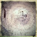 Фотография Дельвига Ильи