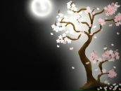 Фотография Чайниковой Ольги