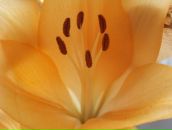 Дініс Боднарюк фотография #2 (источник - https://vk.com/id66434477)