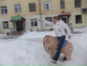 Фотография  