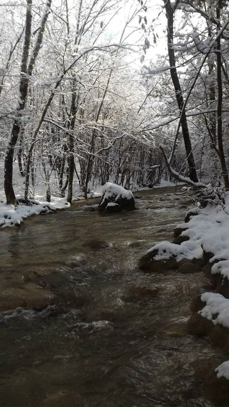 Влад Бугаревский фотография #6