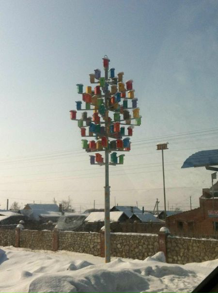 Александер Матрин фото №34