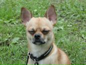 Фотография Самарова Фёдора