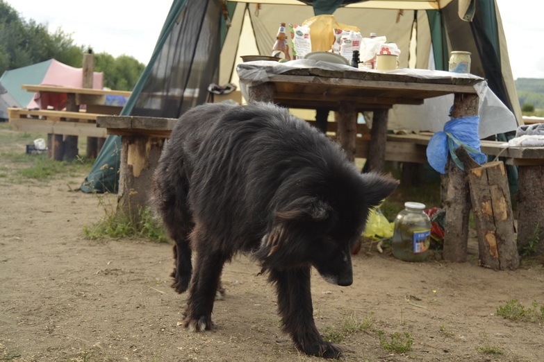 Максим Шаров фотография #12