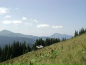 Вася Сенів фотография #43 (источник - https://vk.com/id13762593)