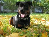 Фотография Артеменко Анастасии