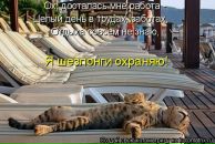 Сергей Нечаев фотография #34 (источник - https://vk.com/id799662)