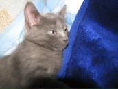 Роман Киреев фотография #49 (источник - https://vk.com/id2910844)