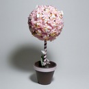 Мій Солодкий-Подаруночок фотография #14 (источник - https://vk.com/id158147736)