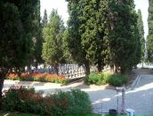 Душан Лазић фотография #4 (источник - https://vk.com/id80294352)