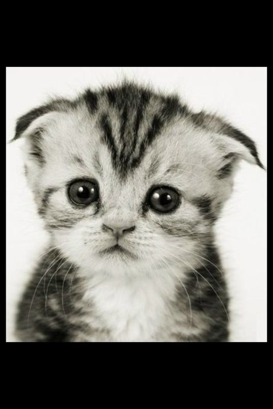 Даша Иванова фотография #27