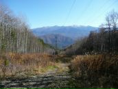 Татьяна Добрая фотография #6 (источник - https://vk.com/id71172041)