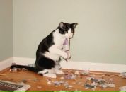 Фотография Жигалова Владимира