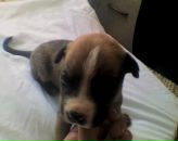 Андрій Горак фотография #30 (источник - https://vk.com/id50410921)