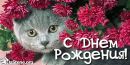 Ірына Поух фотография #44 (источник - https://vk.com/id17921164)