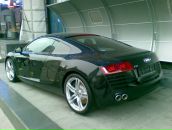 Фотография Шмидта Дмитрия