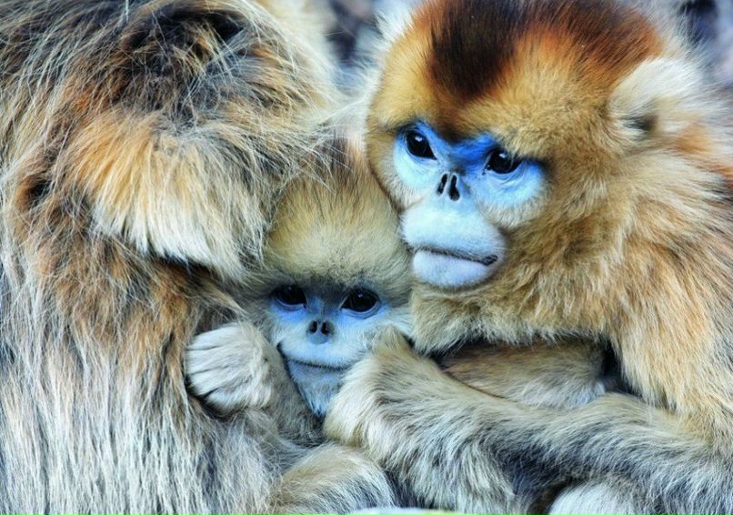 Дмитрий Волгин фотография #31