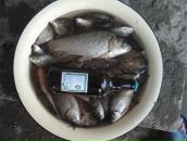 Віталік Скриник фотография #27 (источник - https://vk.com/id9934039)