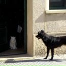 Фотография Медведева Анна