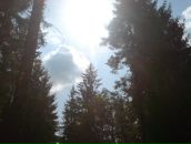 Сергій Слав'янський фотография #42 (источник - https://vk.com/id39792263)