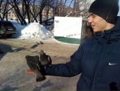 Фотография  