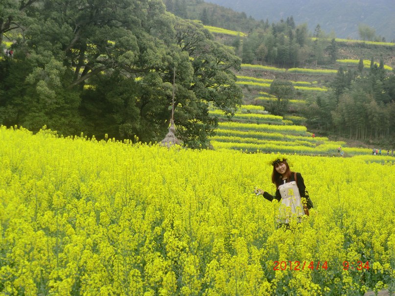 Лися Дэн фотография #26