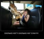 Фотография Савкина Алексея