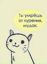 Фотография Котович Ирина
