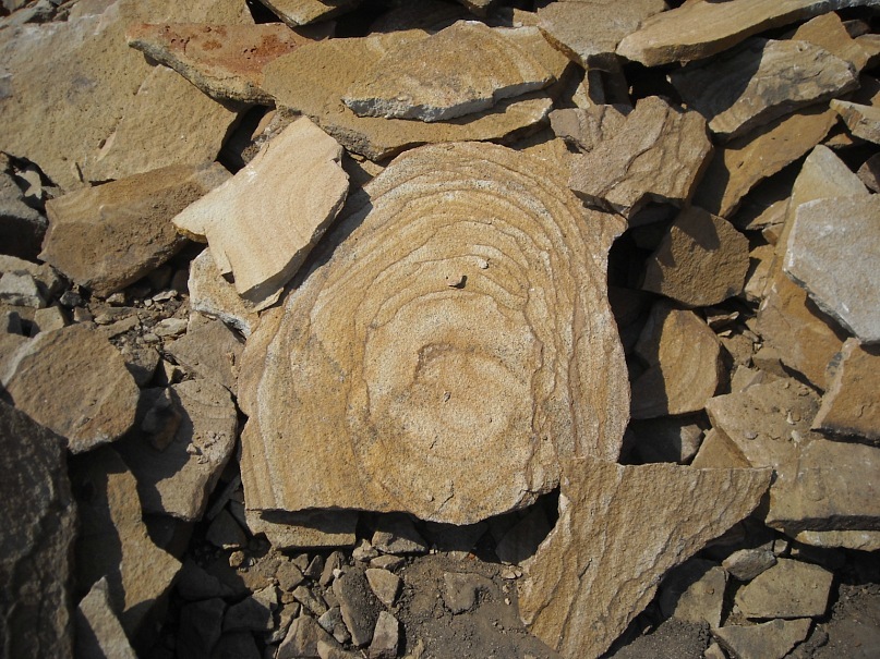 Дмитрий Левков фотография #44