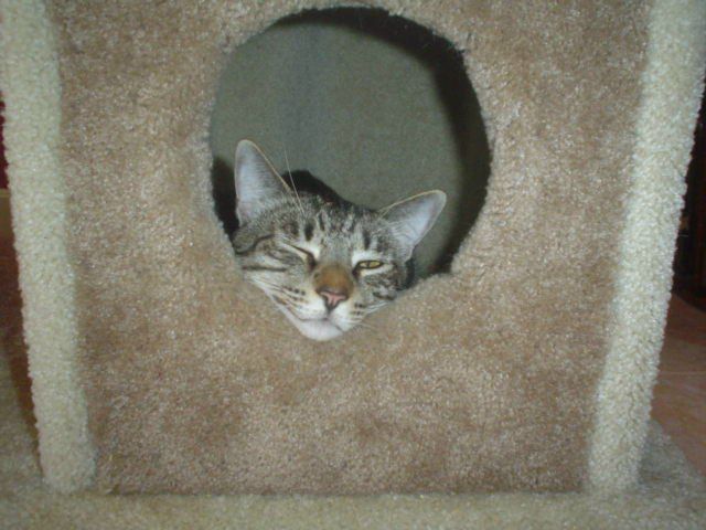 Igor Tarasov фото №37