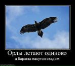 Вика Ткаченко-Малинкина фотография #50 (источник - https://vk.com/id4354431)