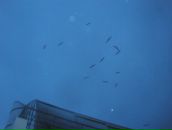 Костя Ламтев фотография #17 (источник - https://vk.com/id3686196)