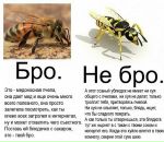 Дмитрий Макаров фотография #30 (источник - https://vk.com/id2691551)