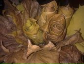 Фотография Разорёновой Ксении