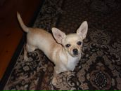 Надя Іщак фотография #37 (источник - https://vk.com/id76429397)