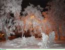 Фотография Бондаревой Александры