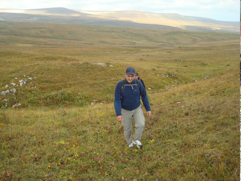 Дмитрий Кобяков фотография #7