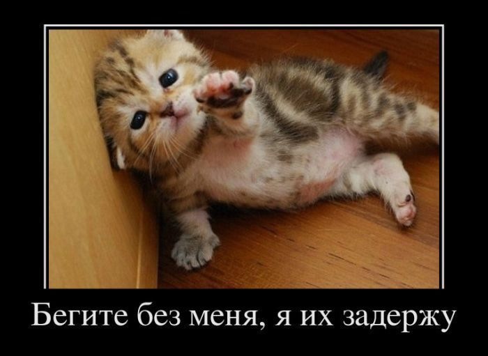 Андрей Якимов фотография #50