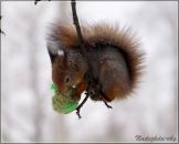 Фотография Оксененко Юлии