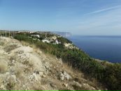 Фотография Орлова Андрея