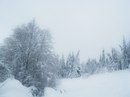 Андріана Кузишин фотография #3 (источник - https://vk.com/id137224592)