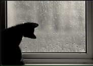 Фотография Лесневой Ирины