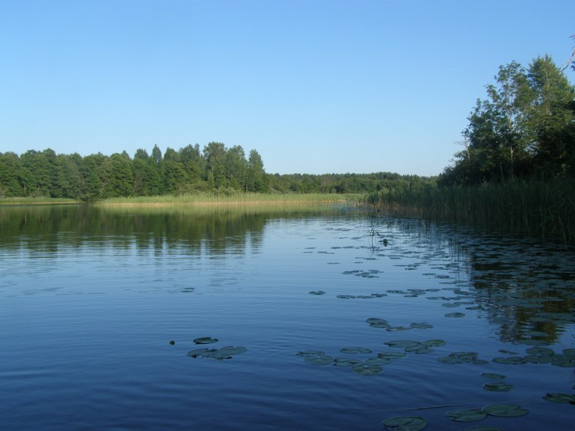 Михаил Симоненков фотография #45