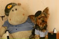 Фотография Кошкиной Екатерины