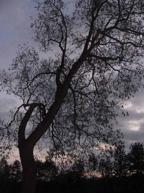 Катя Нестерович фотография #29