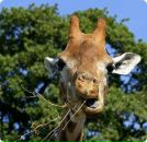 Фотография Паничевой Ксении