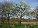 Карлі Сміт фотография #3 (источник - https://vk.com/id162444287)