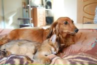 Фотография Суворова Василия