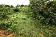 Кса На фотография #17 (источник - https://vk.com/id3671604)