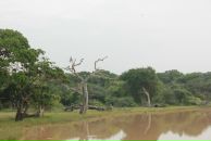 Кса На фотография #15 (источник - https://vk.com/id3671604)